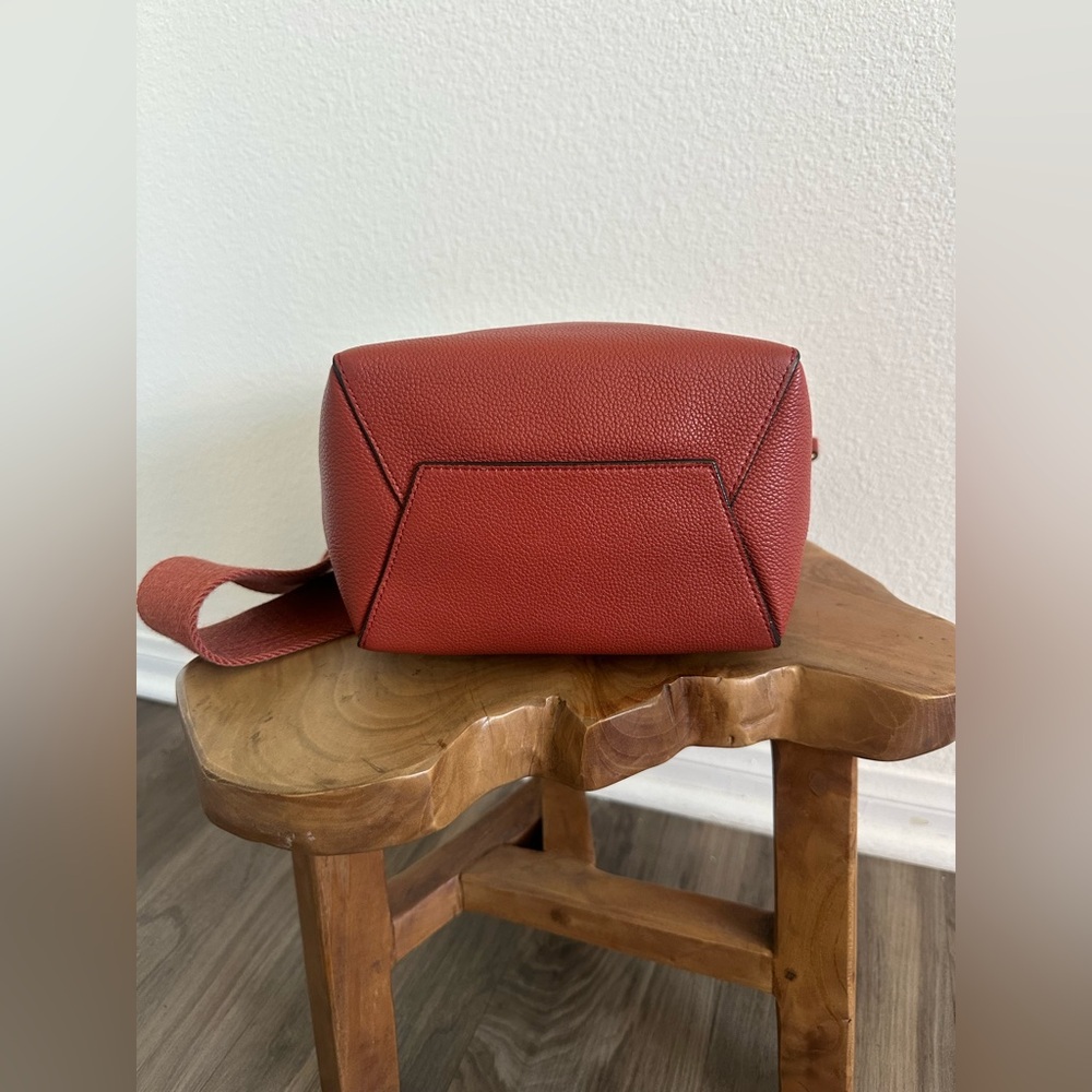 Celine Brick Red Tote with Gold Accents - Picture 10 of 15